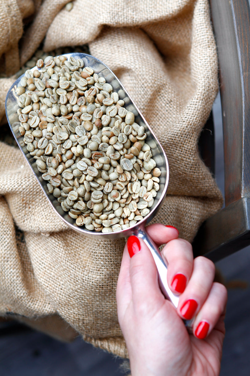Washed Green Coffee Beans