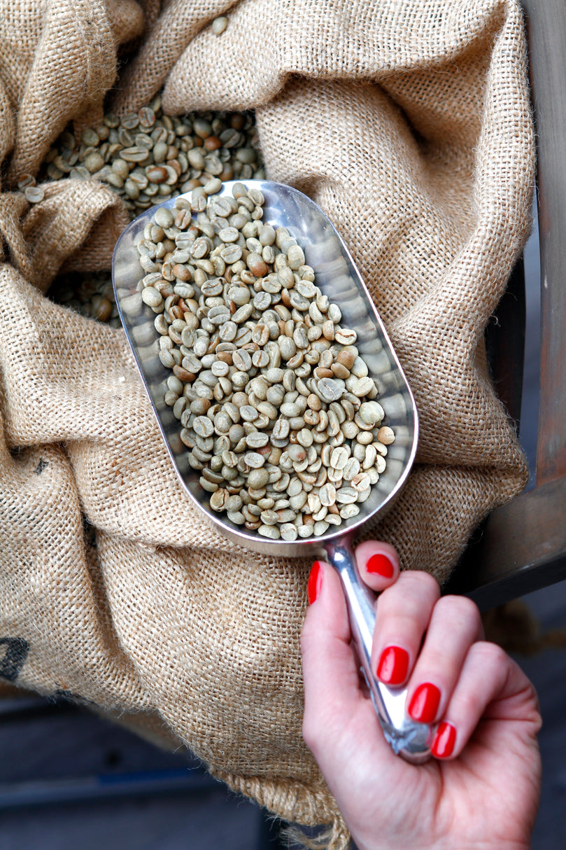 Washed Green Coffee Beans