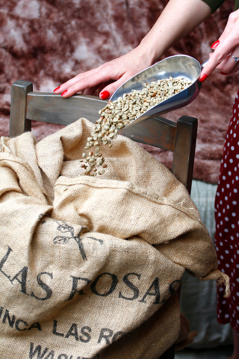 Washed Green Coffee Beans