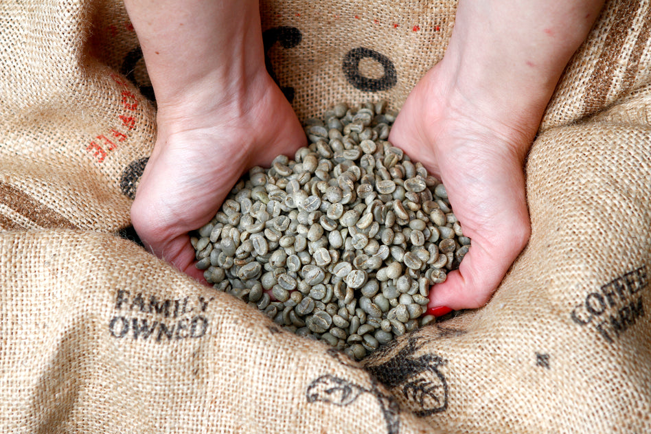 Washed Green Coffee Beans