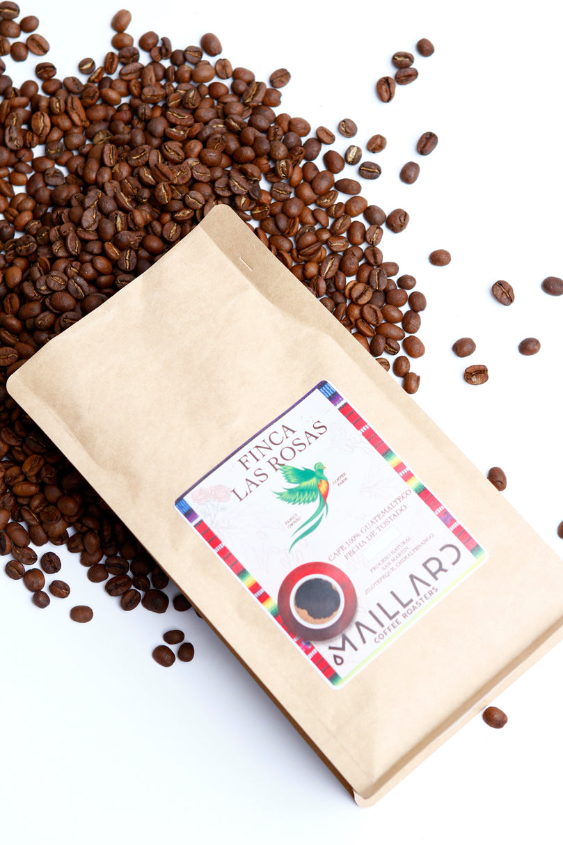 Premium Cold Brew Blend 1 lb
