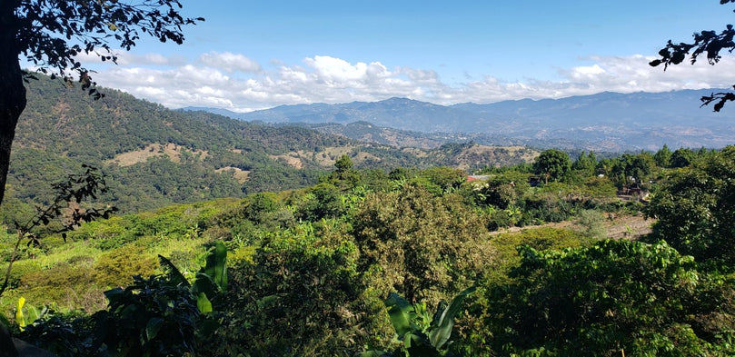 San Martin Jilotepeque